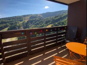 7 couchages et bébé au pied des pistes